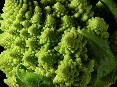 Fractal broccoli